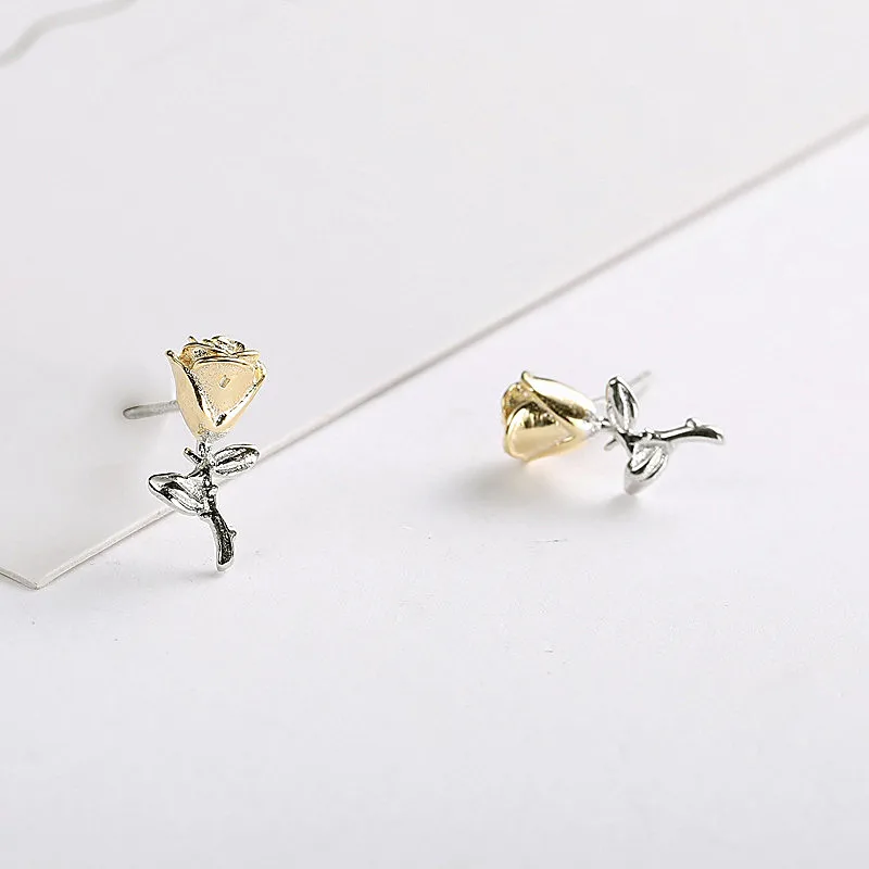 11242285263_794716521_副本 - 副本