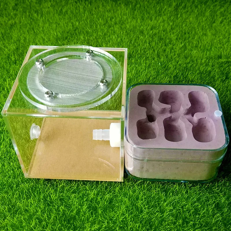 Plaster Ant Nest Acrylic Ant Farm Ants Queen House Insect Cage Anthills Pet Ant House Granja De Hormigas Hormiguero (6)