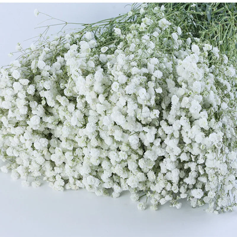 

100g Big Bunch Baby Breath Natural Dried Preserved Gypsophila Flower Decor Home Wedding Bouquet Valentines Day Gift Craft