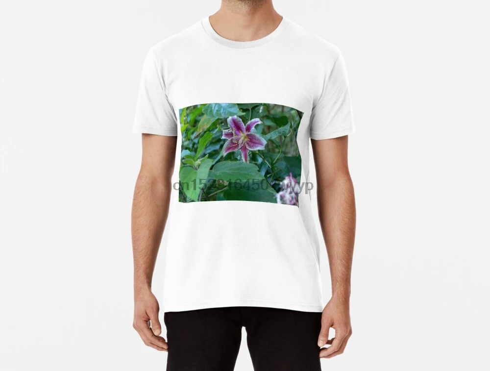 Мужская футболка Funy Pink lily hybrid. Женская с фотографией в Новой Зеландии |