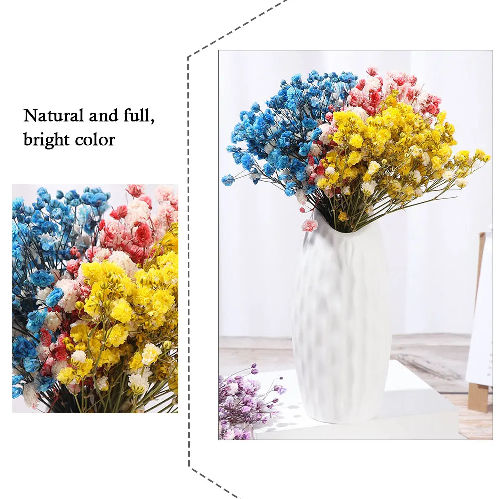 Mini Babysbreath flores preservadas secas frescas naturales, 9 colores,  pequeño ramo de flores reales, flores secas decorativas para fiesta en casa  - AliExpress