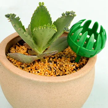 

NEW-100PCS Bonsai Potted Fertilizer Box Green Plant Jade Fertilizer Box Fertilization Box