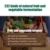 iSDG 2 Упаковки Night Enzyme Composite Fruit and Vegetable Fermentation Diet Help Sleep Weight Loss Health Supplyment In Nighttime