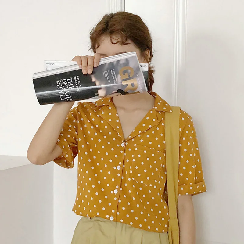PV1060Y (4)