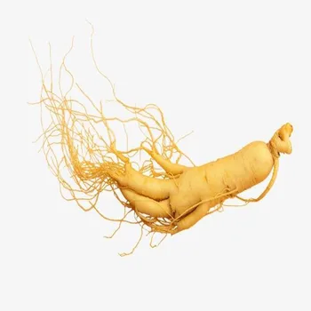 

1000gPure Natural Korean Red Ginseng Root Extract Powder,Ren Shen,Panaxoside,Gen-Seng,High Quality Supplement,Enhance Resistance