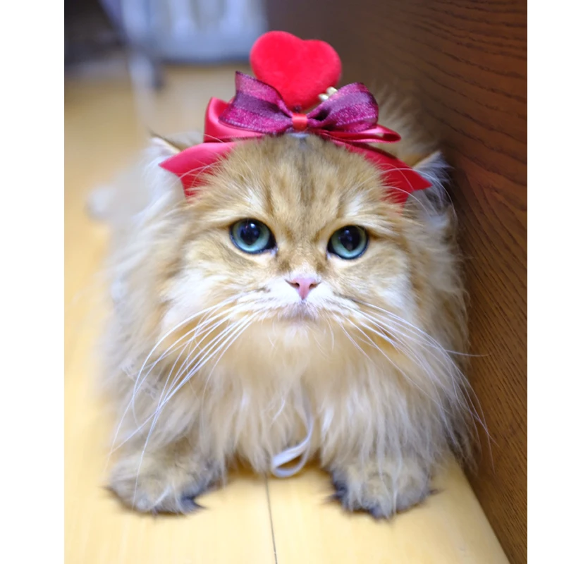 

Manual DIY Valentine's Day cat headdress dog head set pet headgear hair accessories hairpin cat accessories pet supplies cat