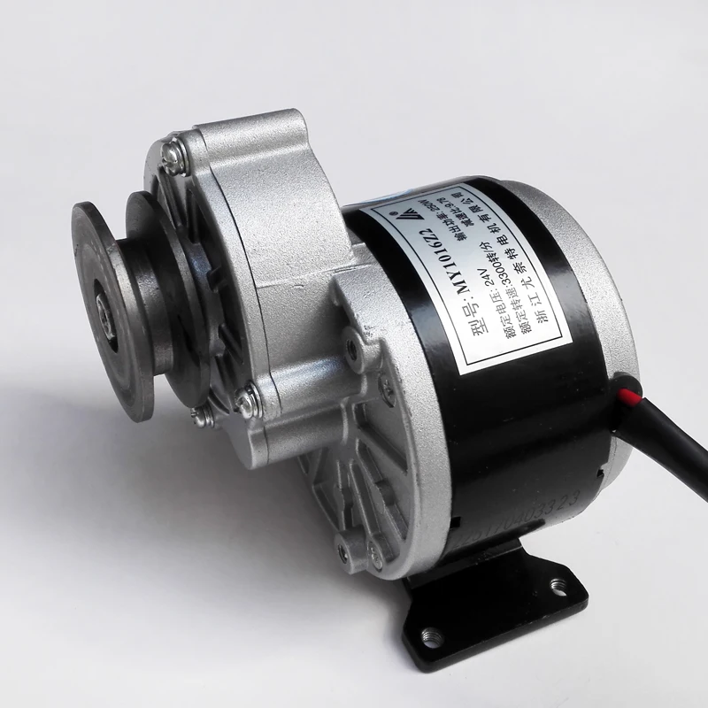 

Мотор-редуктор 24V250W для парка развлечений