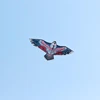 Free shipping large eagle kite flying toys for kids reel owl kite animal kites bird single line kites factory naish wind dragon 6