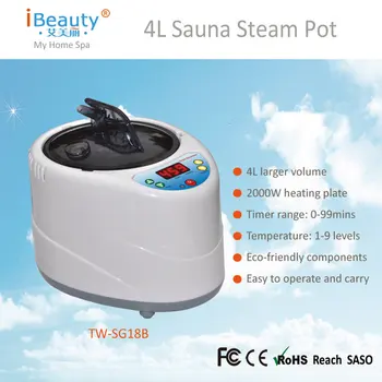 

4LMini Sauna Steam Pot 220V/110V EU/US Plug 2000W Larger power S