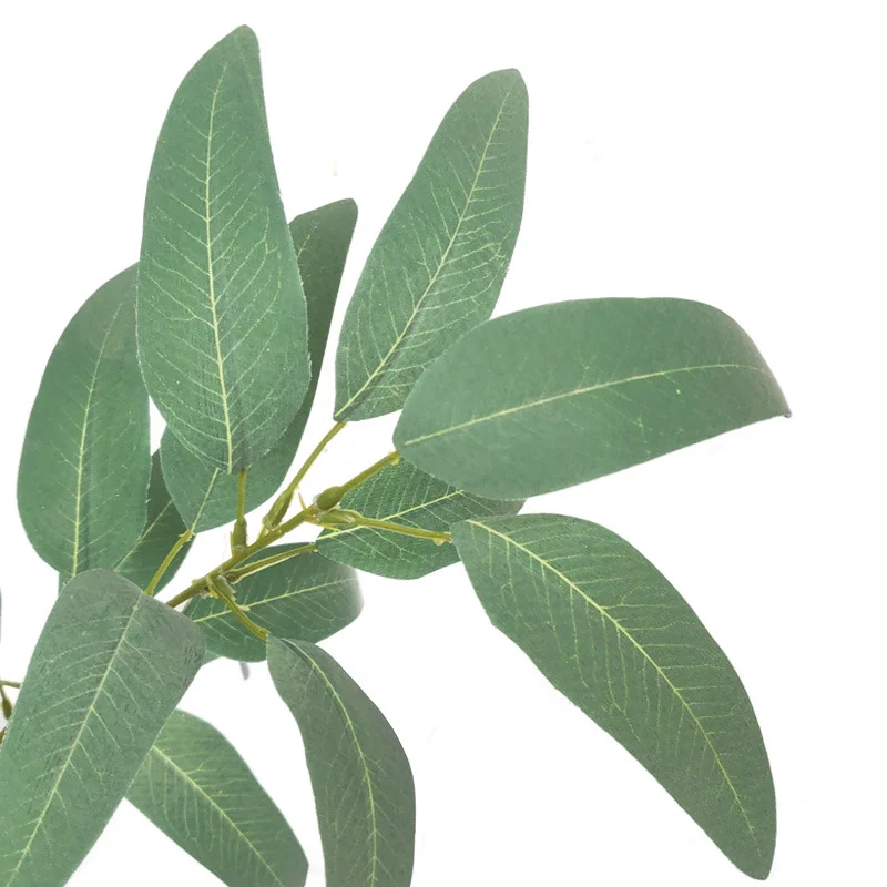 12070943248_1493019570