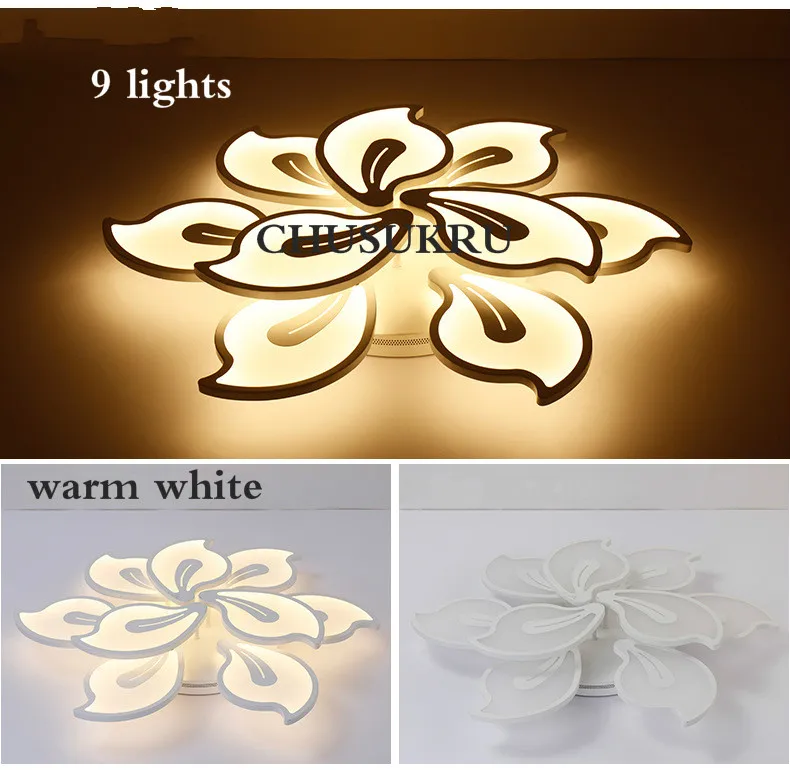 5342511824_898952657_meitu_1