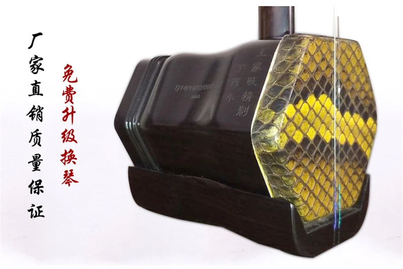 Ebony Upscale Musical Instrument by Wang Jiawang, Ture Python Skin, Full Erhu Accessories, Chinese Instrument