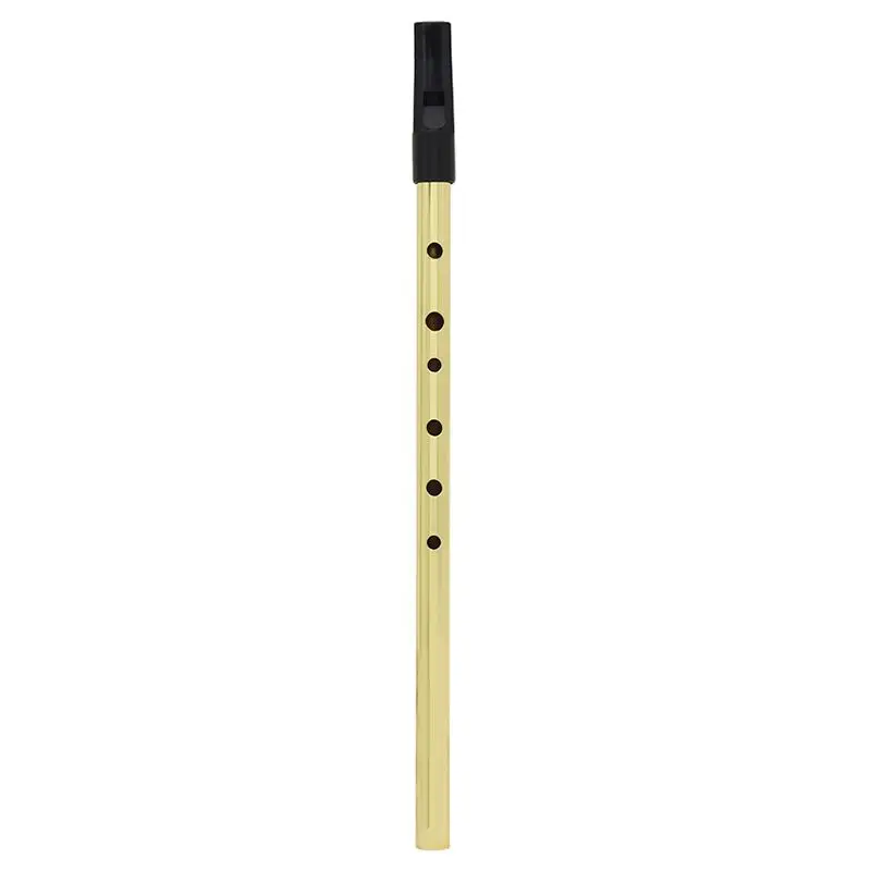 Ирландский свисток ирландская Флейта свисток оловянный свисток ключ D Пенни свисток 6 отверстий флейта Chanter Мини карманный музыкальный инструмент золото