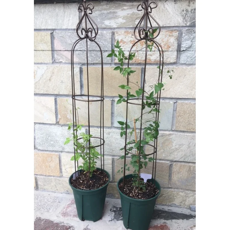 Новая специальная напольная Цветочная подставка clematis для цветов рамка
