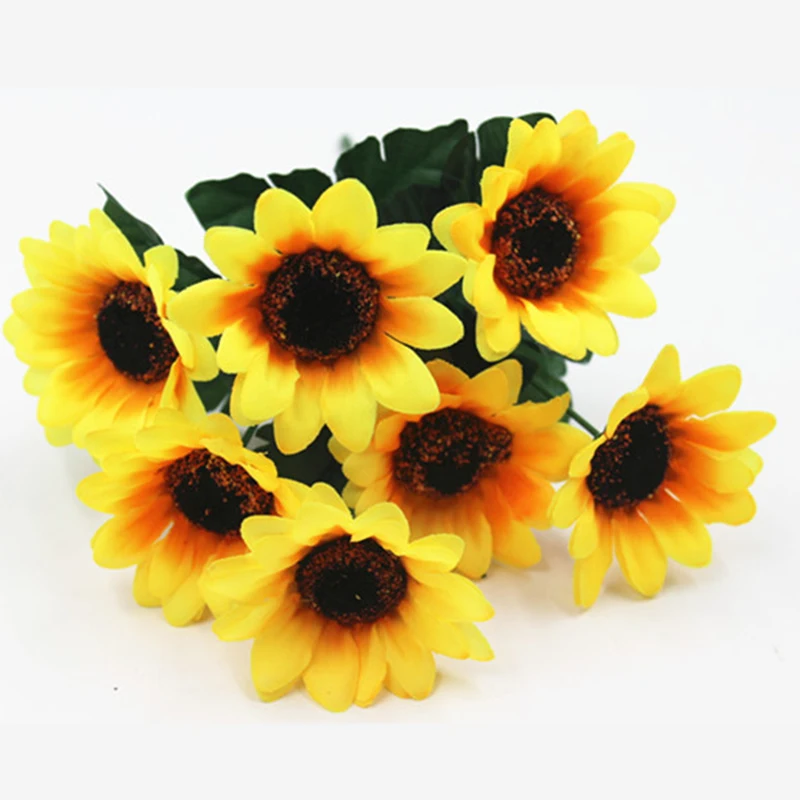 C0480 (1)