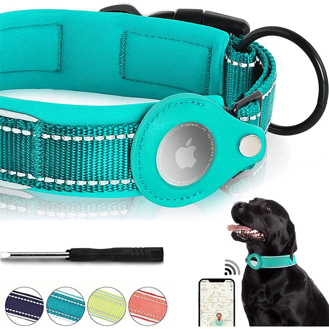 Collar GPS con campana ajustable 2 en 1, manga antipérdida, portátil,  rastreador de Collar para perros y gatos, Soporte seguro, accesorios para  mascotas - AliExpress