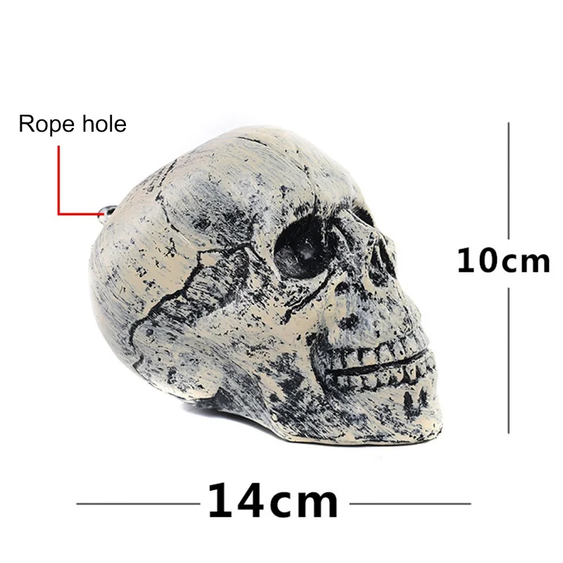 LL1493 (10)
