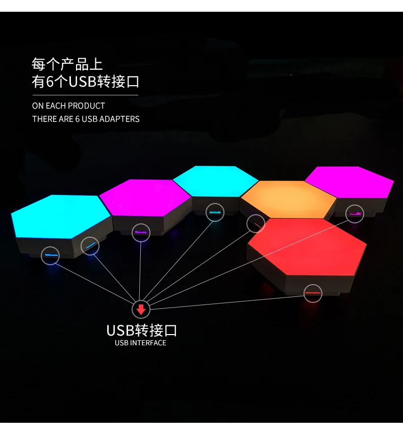 DESCRIPTION (6)