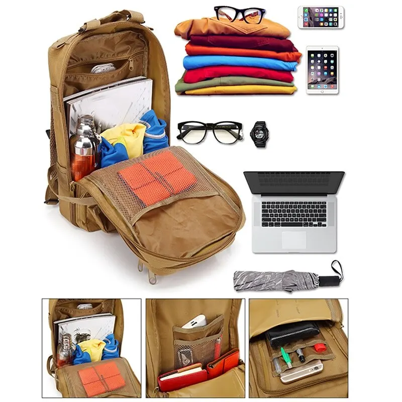 800