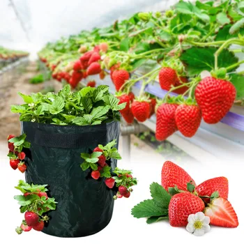 

Strawberry Planting Growing Bag 5/7/10 Gallons Multi-mouth Container Bags Grow Planter Pouch Root Bonsai Plant Pot For Garden