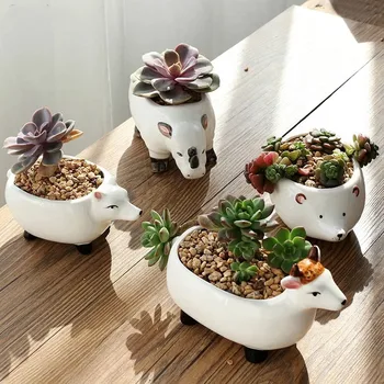 

Cute Cartoon Animal Succulents Pot Rhinoceros Hedgehog Fox Ceramic Tabletop Flower Pot Living Room Office Decoration