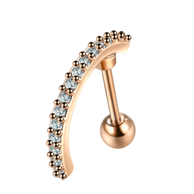 Rose Gold Prong CZ Cartilage Stud Helix Rook Conch Screw Back Earring 20G Stainless Steel Ear Piercings Sexy Women Jewelry