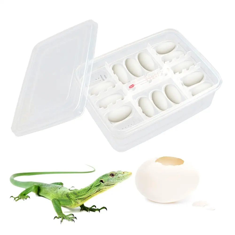 

16PCS Egg Hatching Professional Guard Palace Snake Lizard Climbing Pet Senior Hatching Egg Tray Reptile Breeding Box Incubator