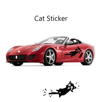

1Pcs 3D Funny For VW polo passat b5 b6 Mazda 3 6 cx-5 Toyota corolla Ford focus 2 Car-styling Cat Stickers Film