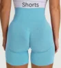 Sblue Shorts