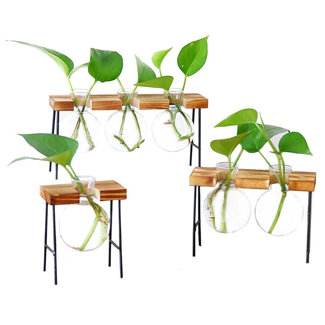 Hidroponikus Üveg Ültetvények Vázák Átlátszó Mini Otthoni Növényi Edények B88 Fa Kerettel - Image 3
