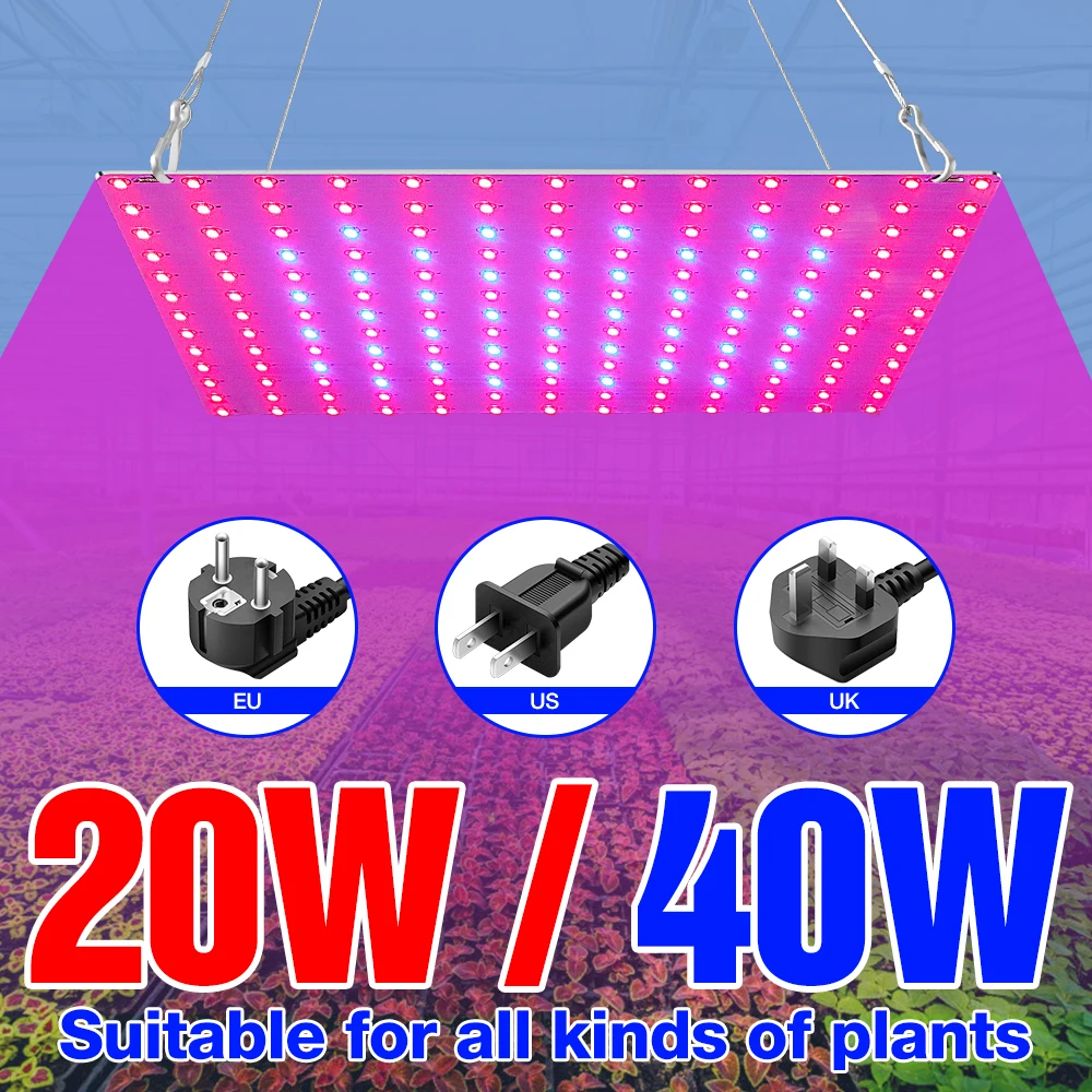 

220V LED Phyto Light 20W 40W Grow Lamp LED Full Spectrum Plant Light Seedling Fito Lamp LED Hydroponics Grow Tent EU US UK Plug