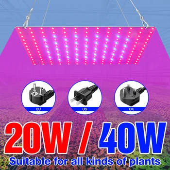 

220V LED Phyto Light 20W 40W Grow Lamp LED Full Spectrum Plant Light Seedling Fito Lamp LED Hydroponics Grow Tent EU US UK Plug