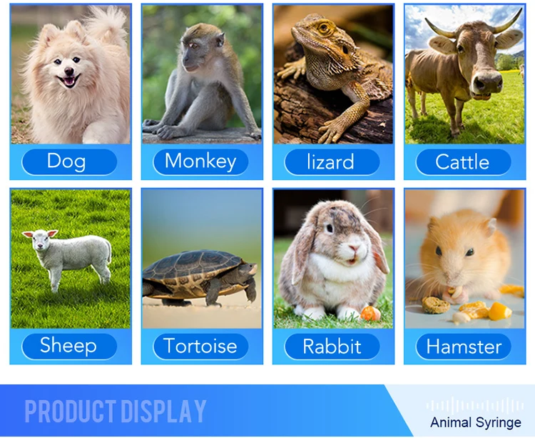 microchip seringa para cão de estimação gato peixe