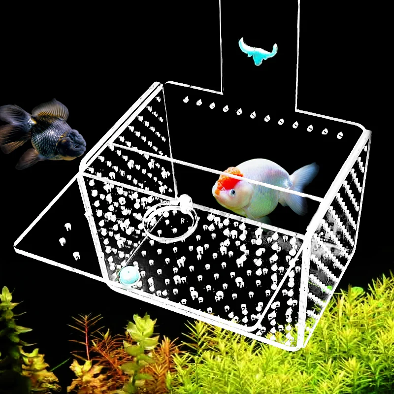 Aquarium Incubator Transparent Acylic Fish Tank Isolation Box Small Fry Breeding Box Aquatic Pet Supplies (hole Dia. 1mm/3mm) fish breeding box