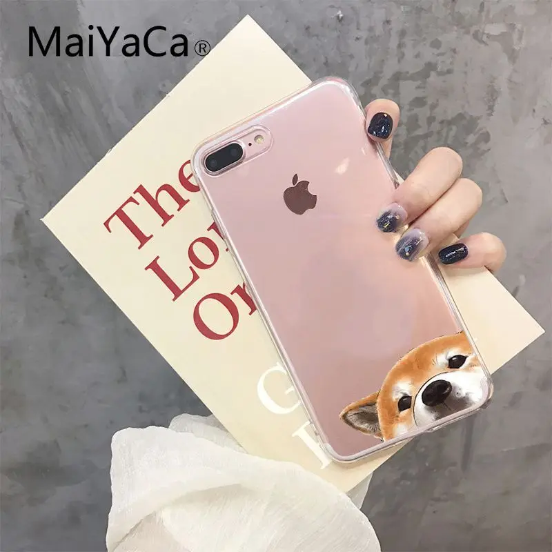 Shiba Inu Dog