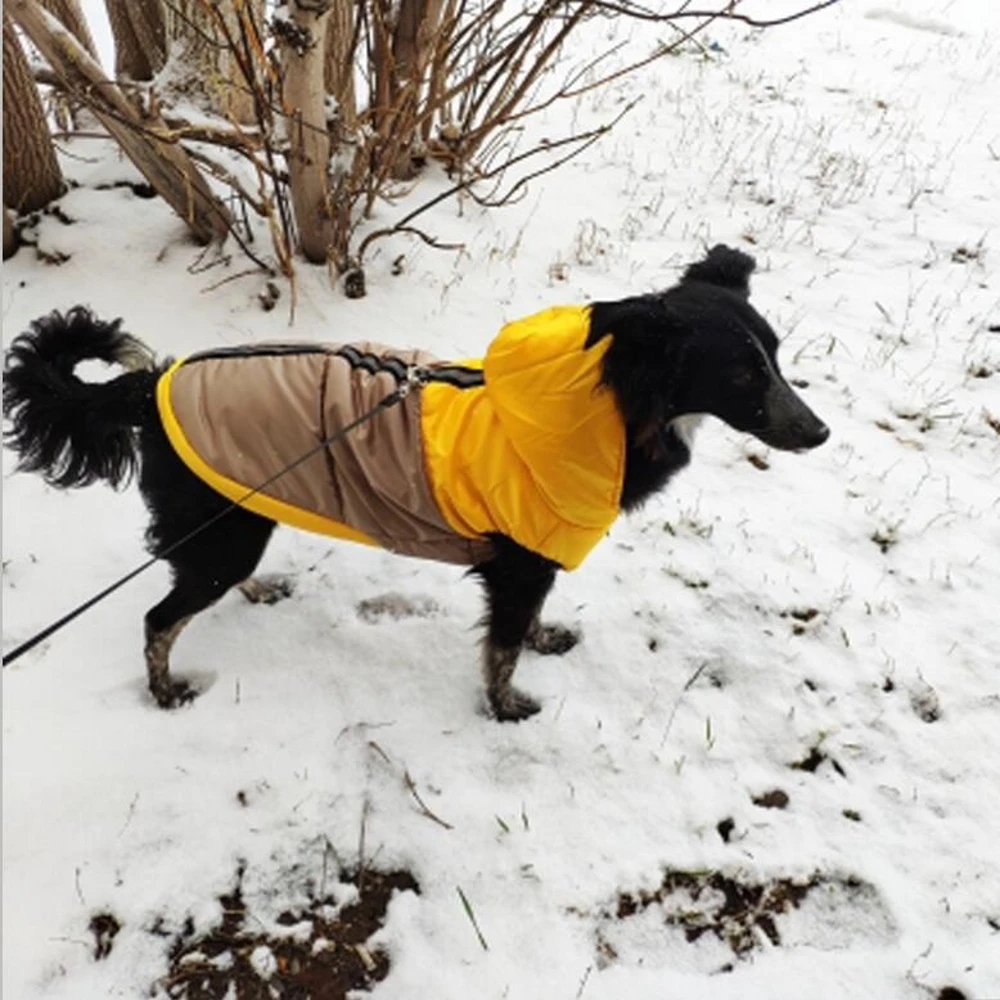 Зимнее водонепроницаемое пальто для собак, пальто для собак, одежда с капюшоном, поводок, d-образное кольцо, светоотражающая куртка для собак, одежда для кошек, одежда для улицы, XS~ 3XL