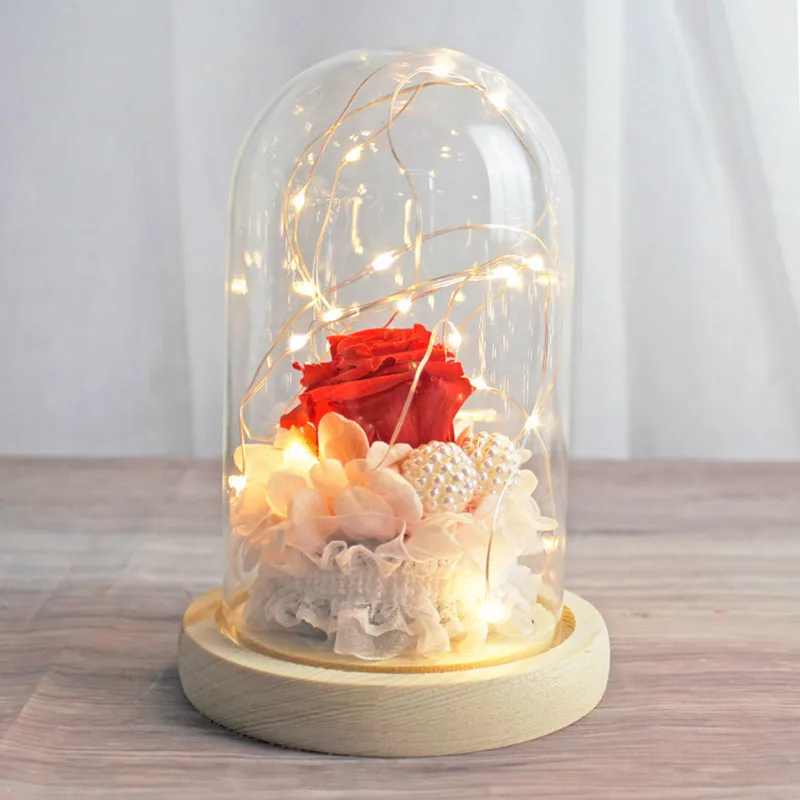 Diameter=12cm Different Height=20cm 22cm 26cm Glass Dome Vase Home Decoration Creative Cover DIY Friend Gift Wedding 6