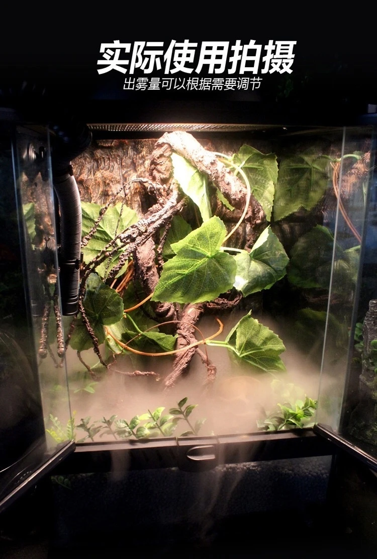 Climbing Humidifier Automatic Atomization Humidifier Normo Climbing Tortoise Lizard Chameleon Dragon Frog Sprayer Gasification