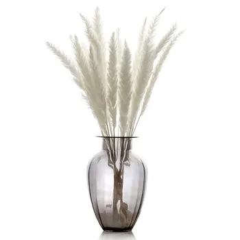 

15 Pcs Dried Small Decoration Pampas Grass Phragmites Communis for Home Hotel Wedding DC156