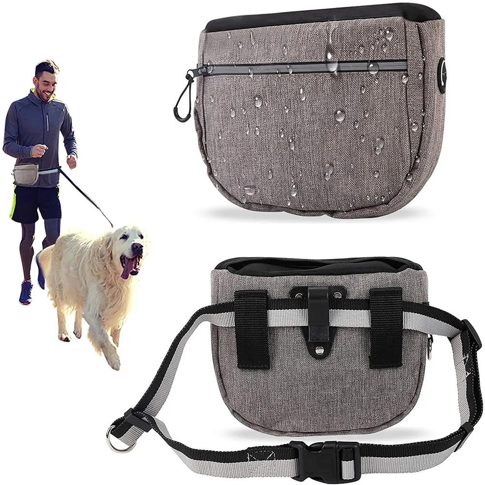 What To Put In A Dog Walking Bag