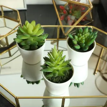 

Artificial Succulent Plants Indoor Vivid Green Plants Small Potted Cactus Plants For Office Home Garden
