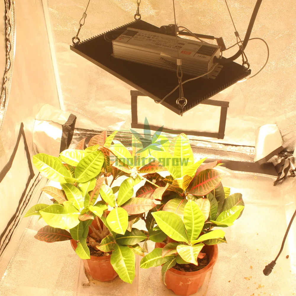 Hydroponic 80*80*160cm quantum board LED Grow light Kit System