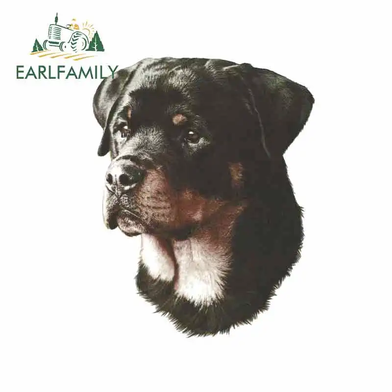 Style A EARLFAMILY 13 см x 10,1 см для ротвейлера собаки мультфильм забавные виниловые наклейки на машину солнцезащитный крем RV Ван тонкая наклейка JDM автомобильные аксессуары - Название цвета: Style A