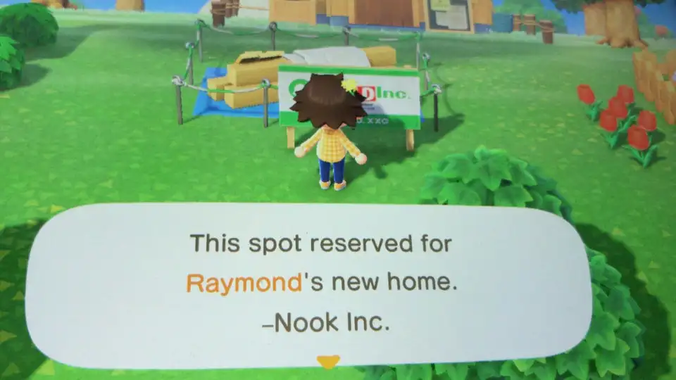Dom Animal Crossing New Horizons Online recharge service не поддерживает возврат средств! Не Amiibo