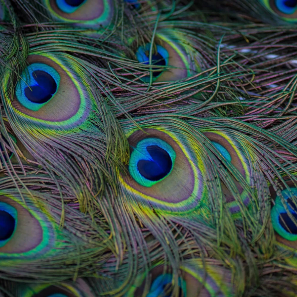 Slide image 50c0eb4be0c44712a242f0e231072cab