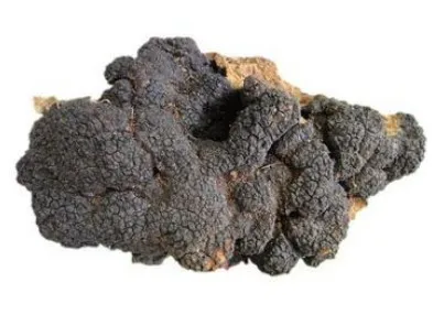 Хороший водорастворимый экстракт гриба siberia chaga 20:1 порошок