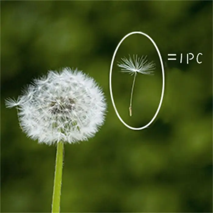 TB29muWjXXXXXXHXpXXXXXXXXXX_!!390570273副本