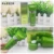 OILYOUNG Slimming Body Cream Weight Lose Body Anti Winkles Укрепляющий И Нежный Формирование Кожи Тонкие Кривые Отбеливающий Крем 35 г