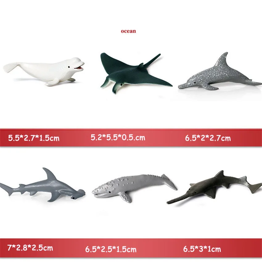 10347105614_1464955482