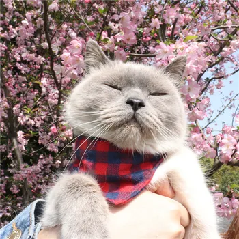 

Amin, New England wind pet grid cloth collar dog collar cat collar factory direct sale